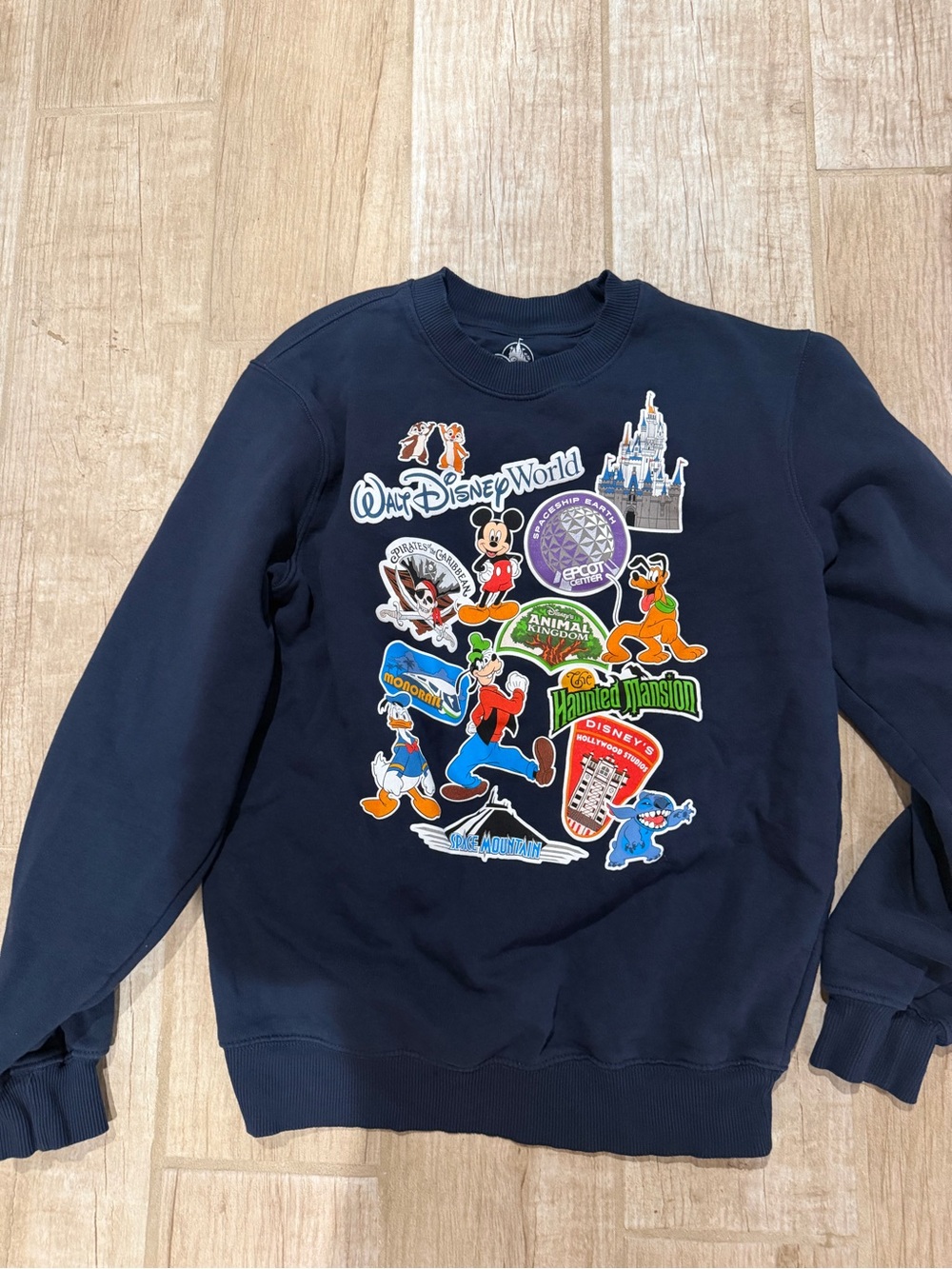 Disney World Navy Graphic Pullover Sweatshirt -